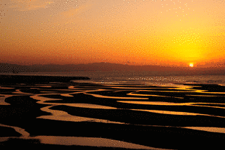 真玉海岸の画像