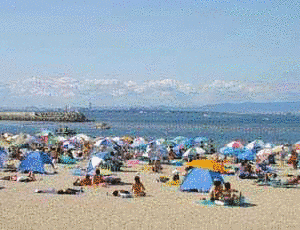 りんくう南浜海水浴場の画像
