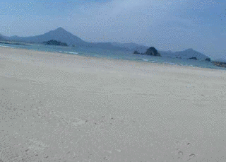 若狭和田海水浴場の画像
