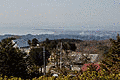 千葉県立富津公園の画像