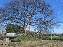 東武スーパープールの画像