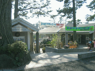 真鶴サボテンランドの画像