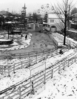 新川児童遊園地の画像
