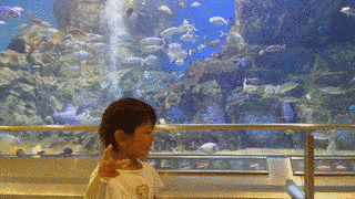 魚っ知館の画像
