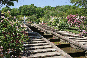北山緑化植物園の画像