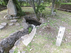 篠山玉水ゆり園の画像