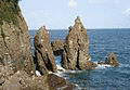 兵庫県立木の殿堂の画像