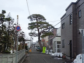新琴似屯田兵中隊本部の画像