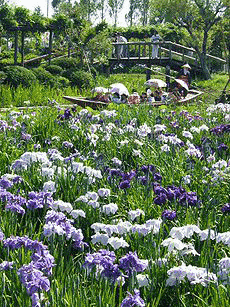 水郷佐原水生植物園の画像