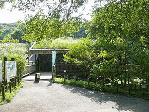埼玉県立自然の博物館の画像