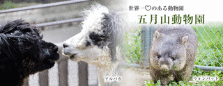 池田市立五月山動物園の画像