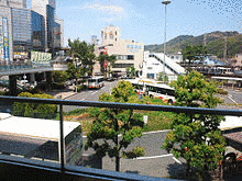 大阪府立花の文化園の画像