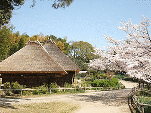 日本民家集落博物館の画像