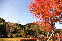 大崎市松山ふるさと歴史館の画像