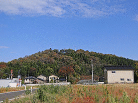 魚津歴史民俗博物館の画像
