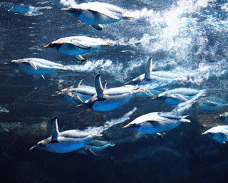 下関市立水族館の画像