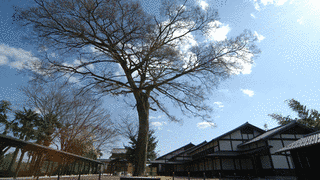 太田宿中山道会館の画像