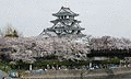 関市円空館の画像