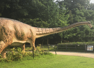 笠岡市立カブトガニ博物館の画像