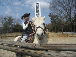 渋川動物公園の画像