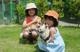 IPCわんわん動物園の画像
