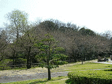 中部大学民族資料博物館の画像
