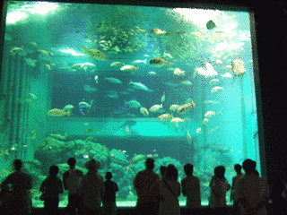 上越市立水族博物館の画像