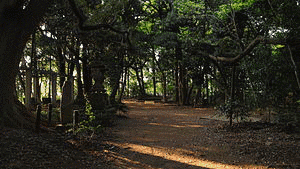 絹の道資料館の画像