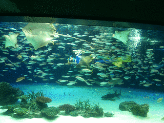 サンシャイン水族館の画像