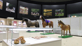 JRA競馬博物館の画像