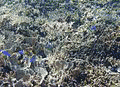 石垣市立八重山博物館の画像