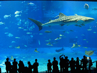 2002年設立の画像