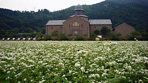 滋賀県立安土城考古博物館の画像