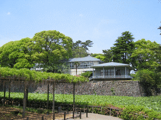 小田原市郷土文化館の画像