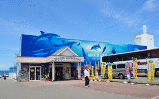 越前松島水族館の画像