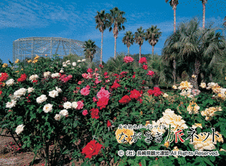西海国立公園九十九島動植物園の画像