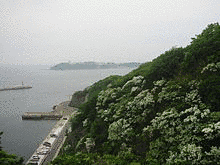 長崎県立対馬歴史民俗史料館の画像