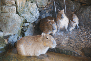 長崎バイオパークの画像