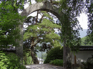 上田市立博物館の画像