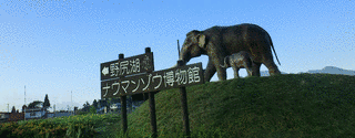 野尻湖ナウマンゾウ博物館の画像