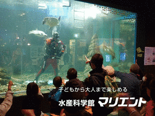 八戸市水産科学館の画像