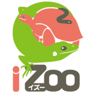 IZOOの画像