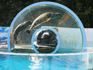 2006年設立の画像