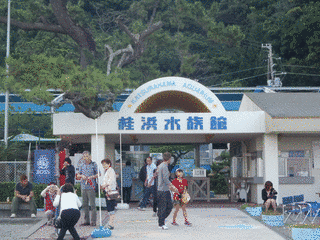 桂浜水族館の画像
