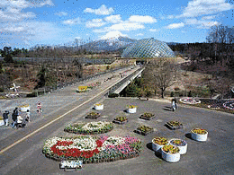 とっとり花回廊の画像
