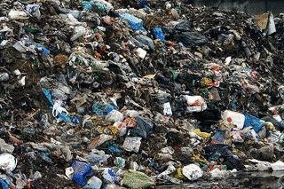 TRASH.の画像