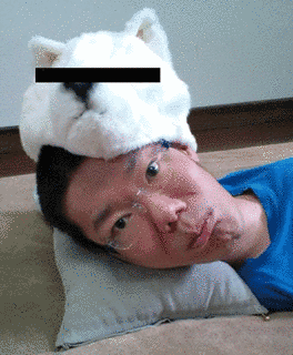 あそどっぐの画像
