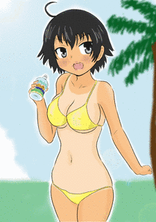 南国ちゅーばっか!の画像