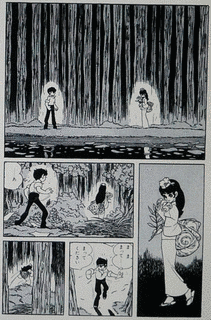 沼の画像