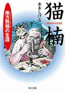 猫楠の画像